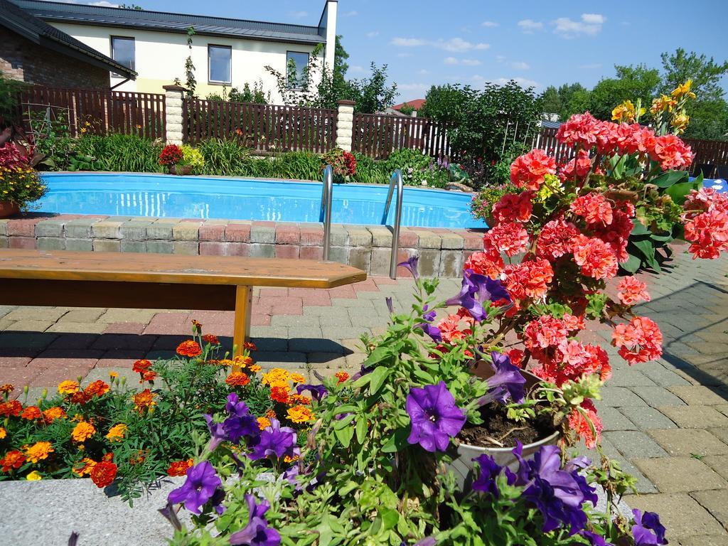 Guest House Linas Alytus Extérieur photo